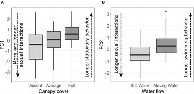 Behavioral Variation in the Pygmy Halfbeak Dermogenys collettei: Comparing Shoals With Contrasting Ecologies